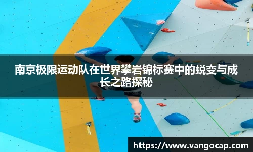 安博app登录入口