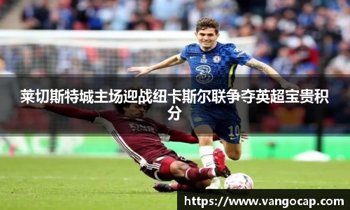 莱切斯特城主场迎战纽卡斯尔联争夺英超宝贵积分